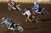indiangalleri/101/2/DSC_0173.jpg