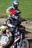 indiangalleri/103/2/DSC_0223.jpg