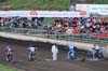 indiangalleri/104/2/DSC_0149.jpg