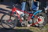 indiangalleri/113/2/DSC_0092.jpg