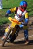 indiangalleri/113/2/DSC_0195.jpg