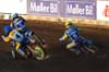 indiangalleri/113/2/DSC_0341.jpg