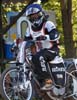 indiangalleri/115/1/281Gerhardsson.jpg