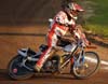 indiangalleri/115/1/458Gerhardsson.jpg