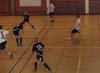 indiangalleri/120211/1/P2119142.jpg