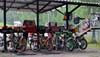indiangalleri/120819-80cc/12/steve-0008.jpg
