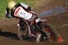 indiangalleri/128/2/DSC_0262.jpg