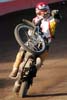 indiangalleri/128/2/DSC_0358.jpg