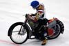 indiangalleri/129/2/DSC_0103.jpg