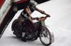 indiangalleri/129/2/DSC_0305.jpg