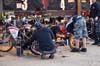 indiangalleri/130709-indvet/viktorias/076.jpg