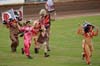 indiangalleri/130709-indvet/2/DSC_0185.jpg