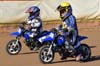 indiangalleri/130929-micro/viktorias/030.jpg