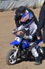 indiangalleri/130929-micro/viktorias/052.jpg