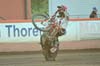 indiangalleri/140520-indvet/viktorias/133.jpg