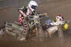 indiangalleri/148/2/DSC_0234.jpg