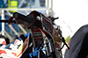 indiangalleri/150526-vetind/viktorias/_5170233723.jpg
