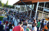 indiangalleri/150815-sec/2/DSC_0018.jpg