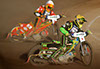 indiangalleri/150815-sec/2/DSC_0170.jpg