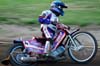 indiangalleri/151/2/DSC_0224.jpg