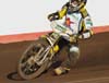 indiangalleri/152/1/P7062400.jpg