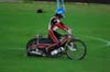 indiangalleri/163/2/DSC_0118.jpg