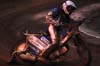indiangalleri/164/2/DSC_0163.jpg