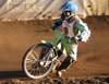 indiangalleri/97/1/Ind-Gast119.jpg