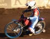 indiangalleri/97/1/Ind-Gast127.jpg