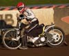 indiangalleri/97/1/Ind-Gast148.jpg